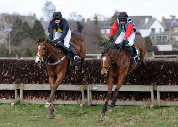 Previous Point to Point action from Kelso's Friars Haugh (picture by Grace Beresford)