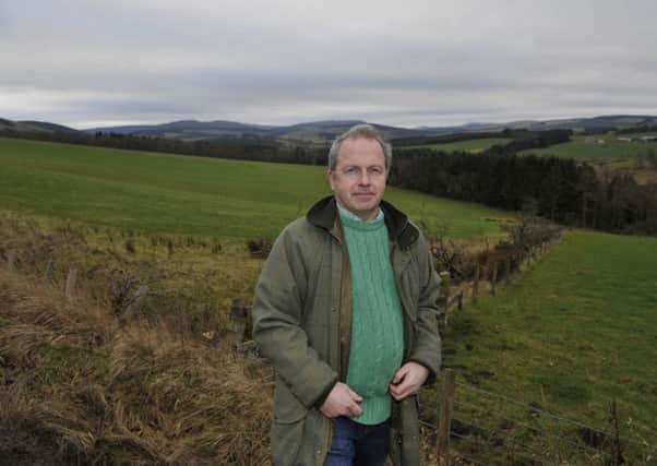 Philip Kerr in front of another target for development, Wauchope Forest, where 20 wind turbines are proposed.
