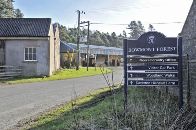 The Bowmont Forest site.