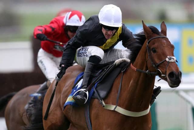 Seeyouatmidnight, one of Saturday's fancied racing entrants at Kelso.