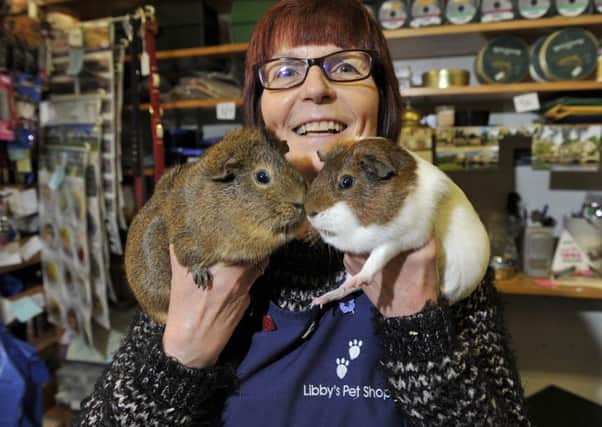 Maureen Little at Libbys Pet Shop in Hawick High Street with two real guinea pigs, not to be confused with Gibby, a stuffed version.