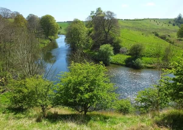 The River Till offers an attractive and interesting walk.