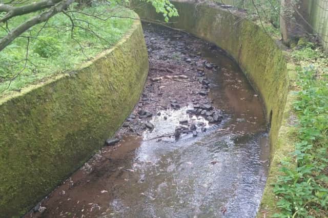 Sewage is contaminating the stream which runs through the policies and eventually into the Mill Lade, and then the Gala Water.