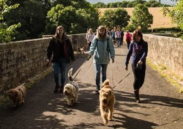 Your dog will love a good walk with you in the wonderful Borders countryside.