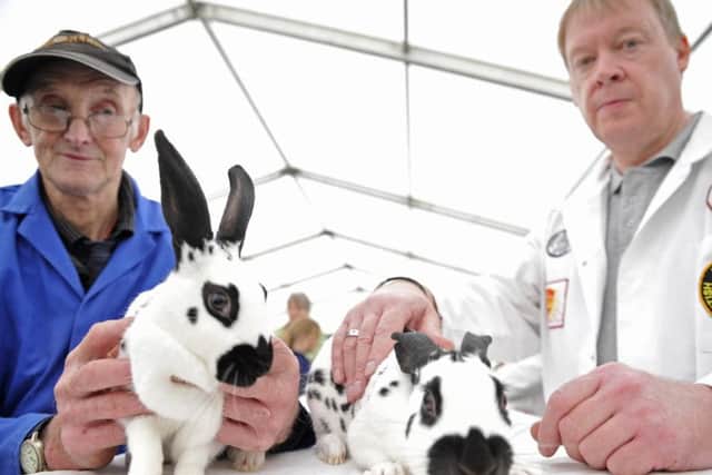 Roy Wearmouth and Andrew MaGee with two Black English rabbits at last year's show.