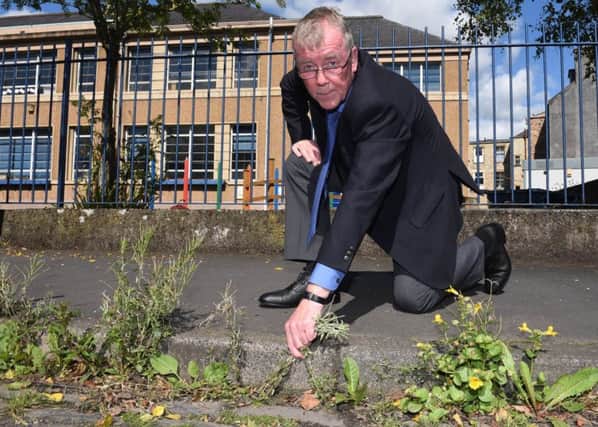 Councillor George Turnbull examining weeds in Trinity Street, Hawick.