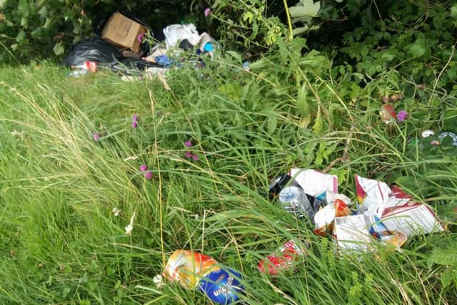 Rubbish dumped in Hawick's Lower Mansfield Road.