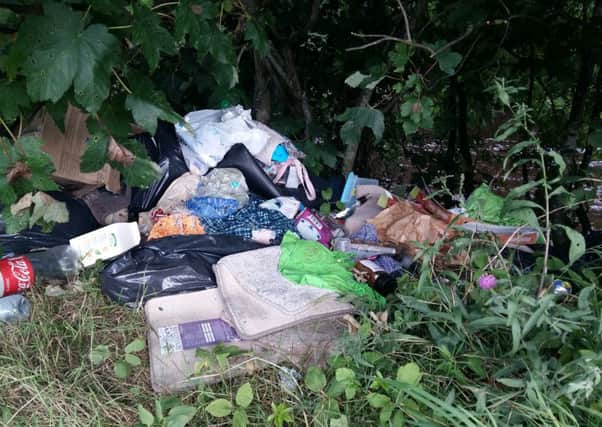 Rubbish dumped in Hawick's Lower Mansfield Road.