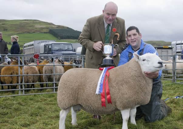 Overall show Champion William Thomson from Hownam Grange judged by Mr F Irvine from Hawick.
