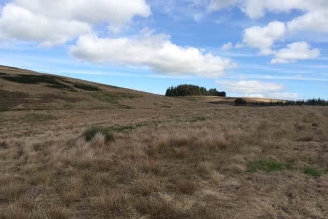 Land at Harwood Estate where the 12-turbine wind farm could have been built.