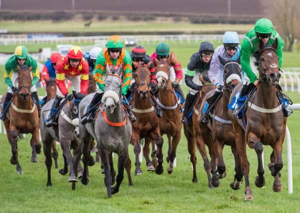 Course bosses hope Sunday serves up some typically exciting race action at Kelso (picture by Alan Raeburn).