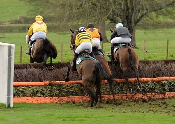 Last year's Berwickshire P2P meeting at Friar's Haugh in Kelso, with the Men's Open runners jumping one of the riverside fences.