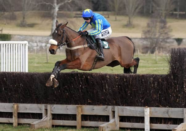Leavethelighton, ridden by John Dawson, wins of the Psigma Men's Open in Kelso at Berwickshire's P2P, the first leg of a weeekdn double (picture by Grace Beresford).