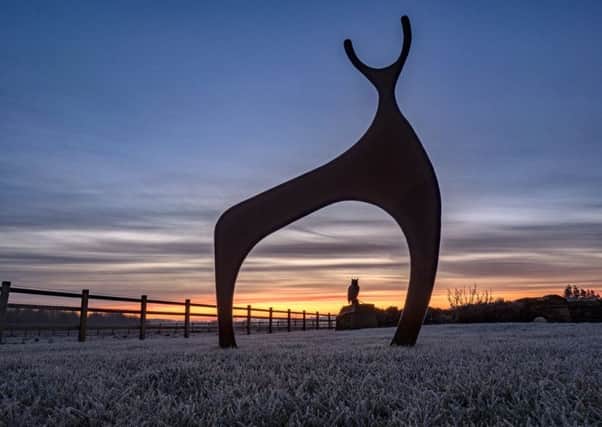 Curtis Welsh took this image in his back garden at Longnewton Mill Farm, near Melrose, showing Rusty the deer and Eddie the eagle owl against a sunrise and a carpet of frost
