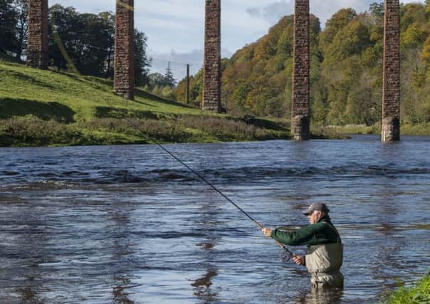 Salmon catches are down on the River Tweed.
