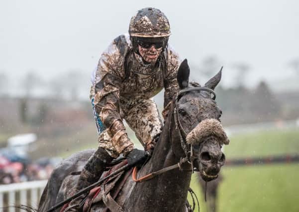 The mud and the rein - Kris Spin, ridden by Richard Patrick, won the Â£40,000 Edinburgh Gin Handicap Hurdle Race at Kelso last weekend (picture by Alan Raeburn).
