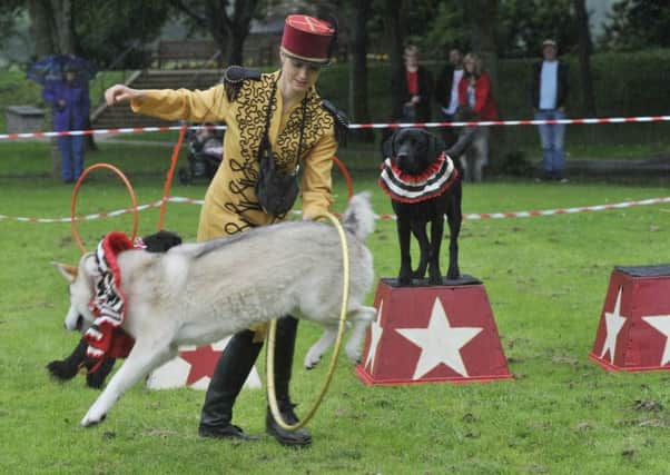 These anything but unruly dogs were among the stars of the show at last years inaugural council-run dog fun day in Hawicks Wilton Lodge Park, an event set to be repeated in July.