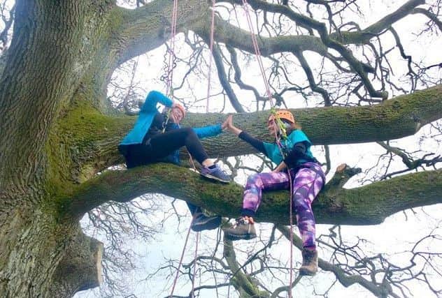 Carla Sayer and Southern Reporter journalist Kathryn Wylie trial Bowhill's new Wild Tree Adventure climb.