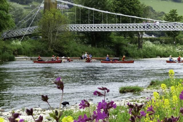Retreiver Georgie had been playing in the Tweed near Melrose before dying from Alabama rot.