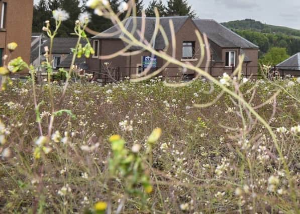 Hawick and Hermitage councillor Davie Paterson is concerned about grassed areas in the Borders becoming overgrown.