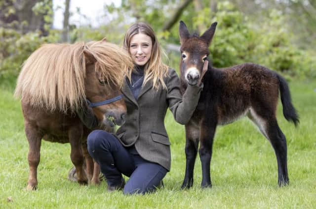 Lauren Mosgrove with miniature Shetland pony Peaches and her rare foal Katie, a  miniature Shetland-donkey.