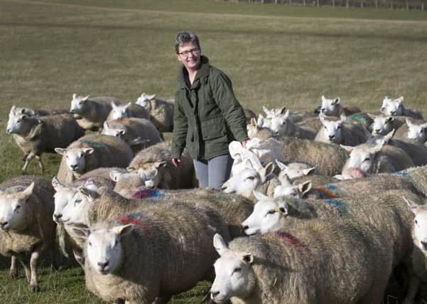 Perthshire sheep farmer Emily Grant pictured on her farm near Redgorton. 
Picture by Graeme Hart.