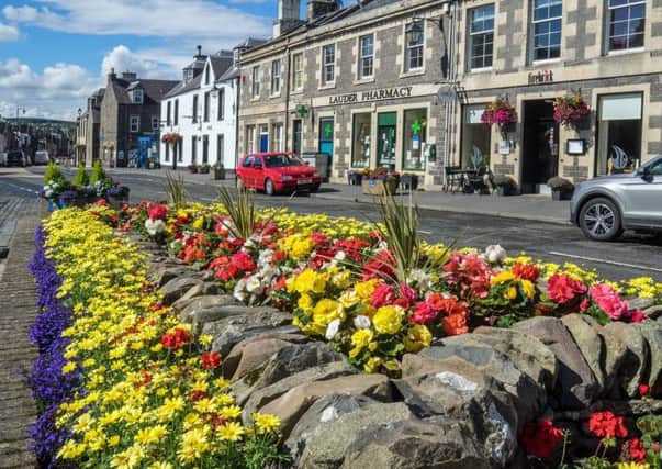 A colourful bed of flowers in Lauder