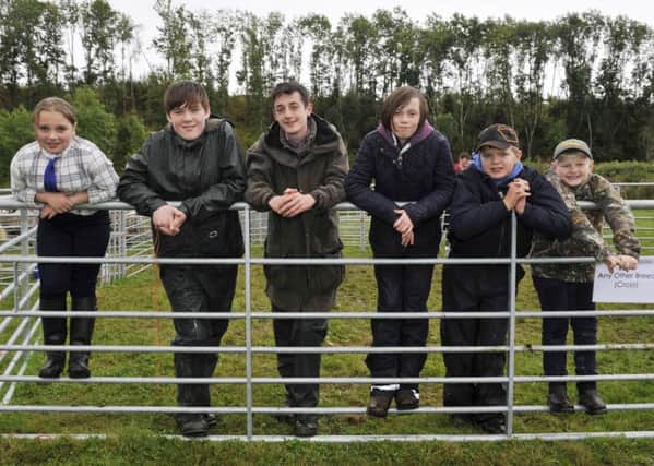 Young handlers at the 2016 show.