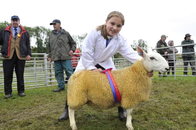 Chelsea Lamb of Whitslade the 2016 Roberton Show.