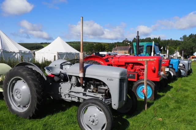 Vintage tractors lined up on display at the Holm Show.