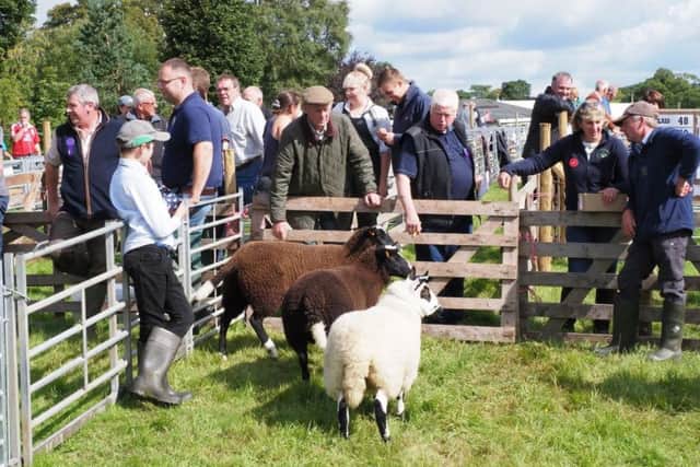 Spectators and exhibitors in the field.