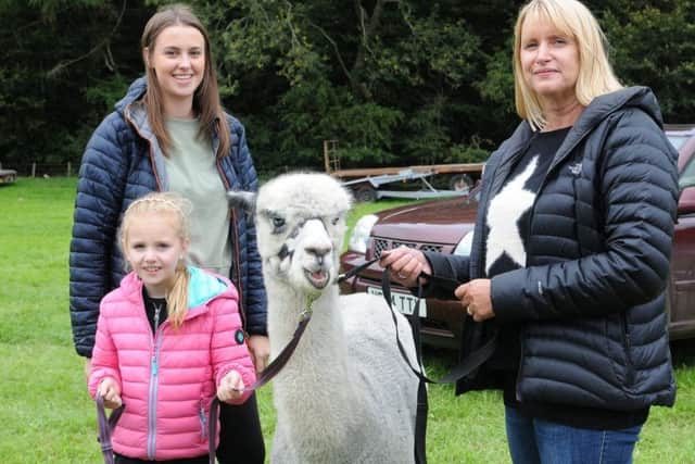 Iona Lunn and Amanda Mendoza look on as young Anna Williams takes an alpaca for a walk.