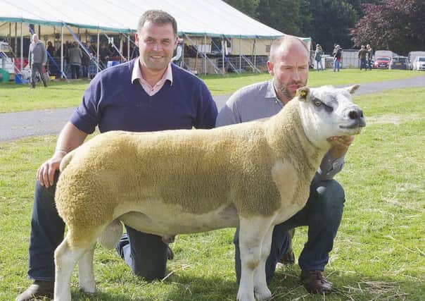 Alan and Andrew Clark were delighted when their Ram sold for 29,000 at Kelso