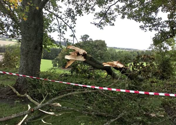 Lilliesleaf is just one of the many rural Borders communities which were left with scenes of devastation as trees toppled and power lines were cut following the wrath of Storm Ali last Wednesday.