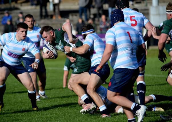 Ali Grieve of Hawick tries to forage his way through the Accies line (picture by Alwyn Johnston).
