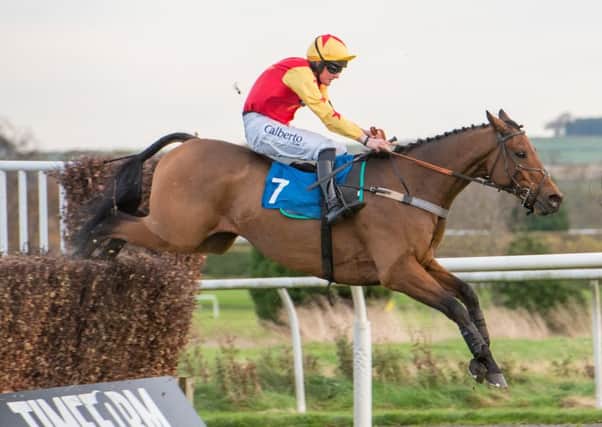 Chain Of Beacons, a winner last year, has the backing of the Mayfield Restaurant in Hawick and was trained near Galashiels (picture by Alan Raeburn)