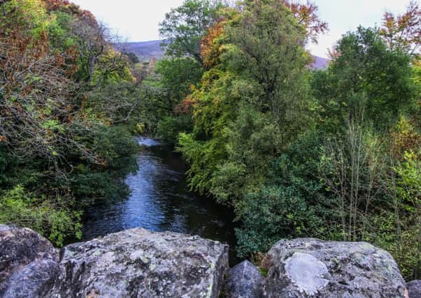 Autumn Colours on the Yarrow Water by Ewan Dickson from Morebattle