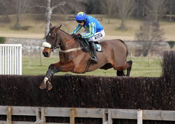 Action from last season's Berwickshire point to point meeting at Kelso (picture by Grace Beresford)