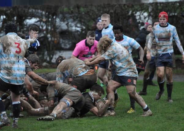 Selkirk 'A' against Edinburgh Accies 2s, in the blue and white stripes (picture by Grant Kinghorn).