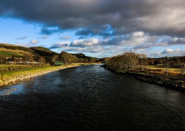 Ewan Dickson was looking down the Tweed at Gattonside when  he captured this image.