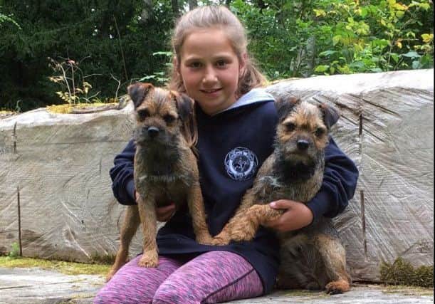 Georgia and Edward Bell's missing border terriers Ruby and Beetle being cuddled by daughter Frances.