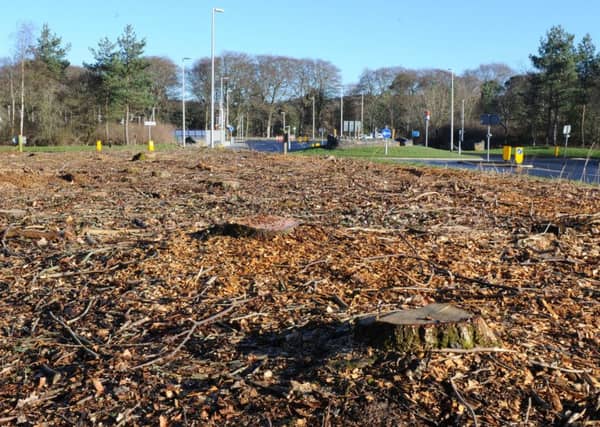 The Tweedbank site formerly lined up to host a Great Tapestry of Scotland visitor centre but now set to be part of the Central Borders Innovation Park.