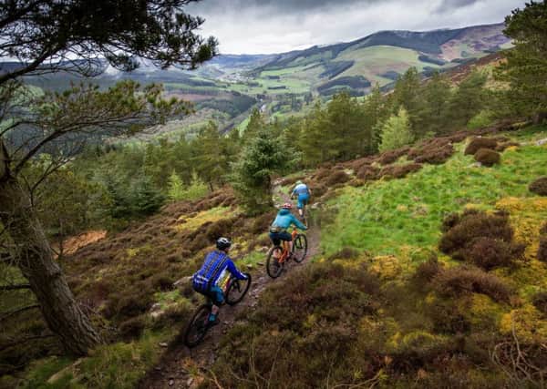 Neil Dalgleish insists trails, like this one at Thornilee, would set the Tweed valley up well for being the world's first national park for cycling.