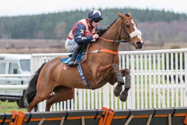 Cyrus Darius, ridden by Brian Hughes.