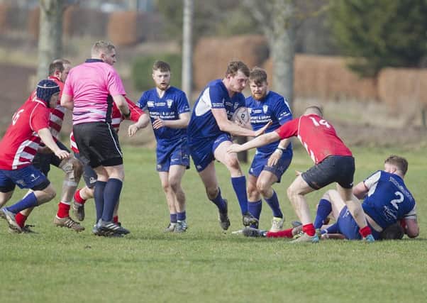 Hawick Linden's second-row forward Jack Wilson on the advance at Earlston (picture by Bill McBurnie).