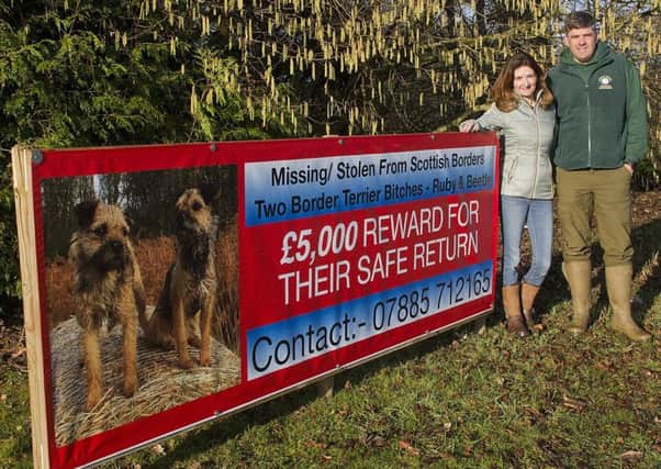 Georgie and Edward Bell with their banner alongside the A68 at Cleekimin seeking information on their missing dogs.