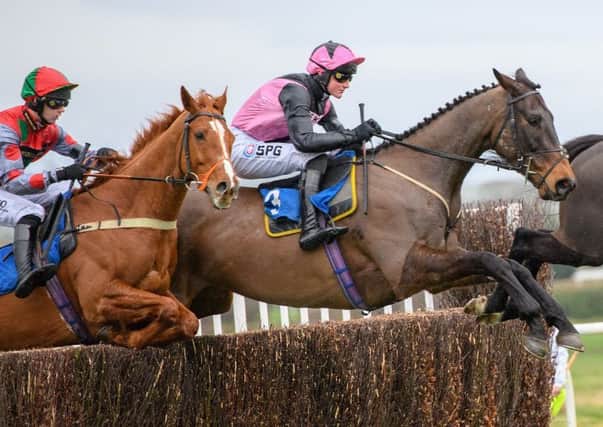 Blue Flight jumps ahead in the Premier Chase at Kelso.
