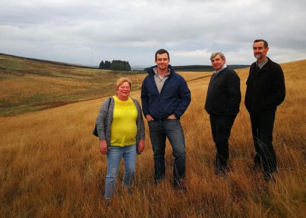 Pictured at the Pines Burn wind farm site are, from left, B&B boss Eileen Walsh, Energiekontors Duncan Taylor, builder William Rodger and Hawick community councillor Andy Maybury.