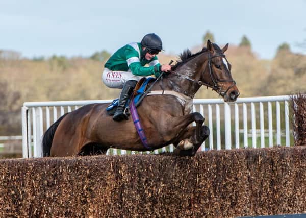 Diamond Brig won the Buccleuch Cup at Kelso in 2018 (library photo by Alan Raeburn)