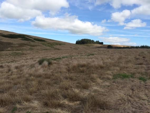 The Harlow Estate near Bonchester Bridge where the 12-turbine Pines Burn wind farm will be built.
